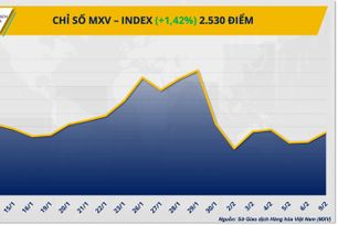 Thị trường hàng hóa phân hóa: bạc bứt tốc, lúa mì chững lại