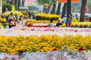 TPHCM: Hoa kiểng đổ về công viên 23 tháng 9