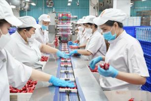 Gần 2.600 sản phẩm nông nghiệp nhập khẩu vào Trung Quốc bị yêu cầu đăng ký 