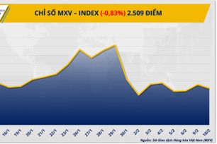 Thị trường hàng hóa đảo chiều khi lo ngại nhu cầu gia tăng
