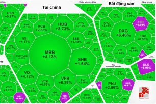 Sắc xanh bao phủ, VN-Index tăng gần 43 điểm