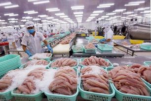 Cá tra tăng giá kỷ lục, xuất khẩu bứt tốc đầu năm