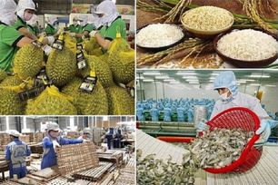 Xuất khẩu nông, lâm, thủy sản hướng tới mốc 74 tỷ USD vào năm 2026