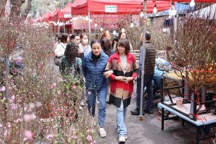 Kiểm soát chặt giá cả, đảm bảo an toàn du lịch dịp tết