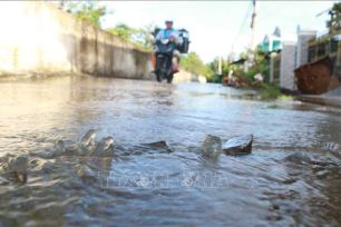 Nam bộ xuất hiện triều cường trong dịp Tết