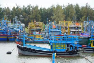 Ngư dân vùng biển TPHCM đón Tết đầu tiên ở siêu đô thị