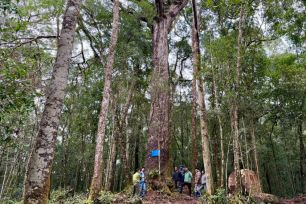 Chiêm ngưỡng báu vật ngàn năm trên đỉnh Hòn Giao 