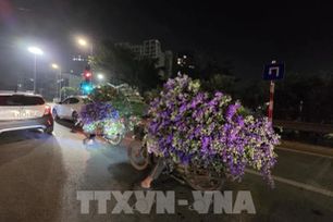 Đêm không ngủ tại chợ hoa Tết Quảng An Hà Nội