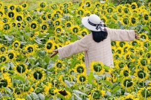 Quảng Ngãi: Nhiều điểm du xuân thu hút khách