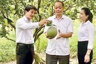 Nông dân TPHCM viết tiếp câu chuyện 'nông nghiệp 4.0'