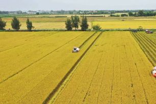 Ngành nông nghiệp hướng tới mốc xuất khẩu 100 tỷ USD