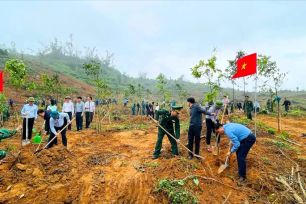 Hà Tĩnh, Nghệ An trồng mới hàng triệu cây xanh trong năm 2026