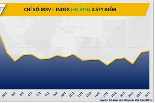 MXV-Index chạm mức cao nhất tháng nhờ lực kéo từ nông sản