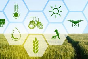 Đề xuất nâng mức hỗ trợ bảo hiểm nông nghiệp lên tối đa 95%