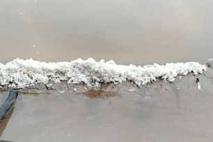 Cà Mau: Mưa trái mùa ảnh hưởng hoạt động sản xuất muối