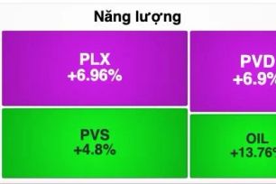 Cổ phiếu dầu khí tăng trần hàng loạt