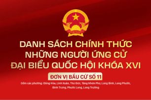Danh sách chính thức những người ứng cử ĐBQH khóa XVI - Đơn vị bầu cử số 11