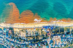 Cơ quan chuyên môn báo cáo nguyên nhân nước biển đỏ ở Gia Lai