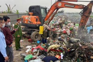 Thu giữ 600kg nầm heo đông lạnh không rõ nguồn gốc