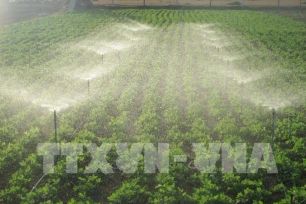 Việt Nam sẵn sàng vận hành thị trường carbon