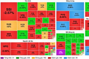 Nhóm cổ phiếu dầu khí lao dốc, VN-Index mất mốc 1.700 điểm
