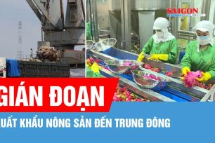 Gián đoạn xuất khẩu nông sản đến Trung Đông