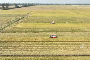 Chiến sự Trung Đông khiến giá phân bón tăng hơn 30%