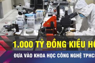 18 GIỜ NGÀY 17-3: TPHCM muốn huy động kiều hối cho công nghệ