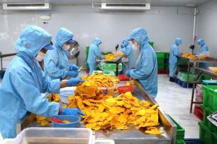 Doanh nghiệp TPHCM dè dặt ký đơn hàng mới do lo ngại chi phí logistics tăng mạnh