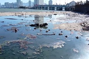 Xác minh nguồn nước thải đen kịt chảy ra biển Nha Trang