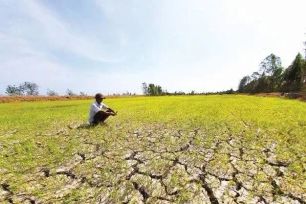 Xâm nhập mặn miền Tây tăng cao đến hết tháng 3