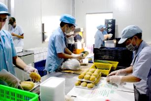 Củng cố nền tảng nội sinh để gia tăng sức chống chịu nền kinh tế