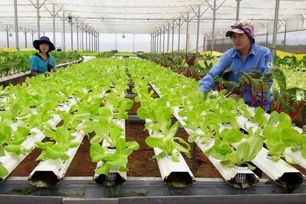 Để nông sản Việt có giá trị cao hơn và tạo được niềm tin thị trường