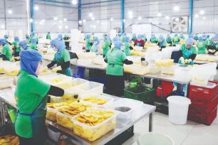 Cách doanh nghiệp ứng phó nguy cơ đứt gãy chuỗi cung ứng