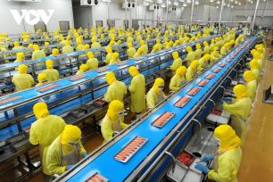 Nhân lực trình độ cao: Điểm nghẽn năng suất và thu hút đầu tư