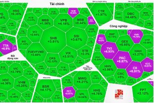 Cổ phiếu điện tăng trần hàng loạt, VN-Index tăng hơn 43 điểm