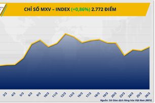 MXV-Index tăng điểm, thị trường hàng hóa phân hóa mạnh