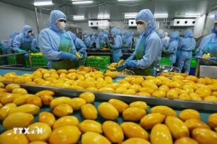 Doanh nghiệp linh hoạt xoay trục giữ thị trường xuất khẩu