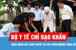 Gần 32.000 ca sốt xuất huyết, Bộ Y tế chỉ đạo khẩn
