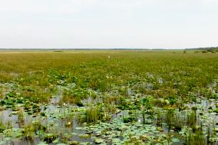 Khởi động dự án phục hồi sinh thái, đảm bảo sinh kế thích ứng khí hậu ĐBSCL