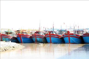 Xử lý dứt điểm 11 vấn đề IUU trước ngày 19-4