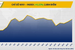 Kim loại hồi phục, MXV-Index tăng điểm trong bối cảnh giằng co