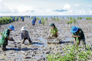 Cần Thơ triển khai trồng rừng, thả 3 triệu con giống về tự nhiên