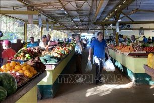 Cuba điều chỉnh mô hình kinh tế, nới lỏng kinh tế tư nhân