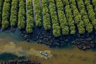 Hoàn thiện khung pháp lý cho trao đổi tín chỉ carbon với quốc tế