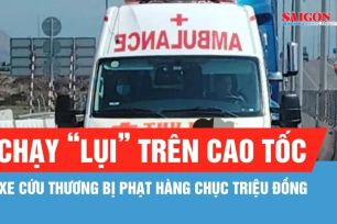 Xử phạt tài xế và chủ xe cứu thương chạy “lụi” 39 triệu đồng