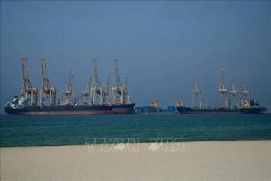 Iran phân loại quốc gia cho tàu qua eo biển Hormuz