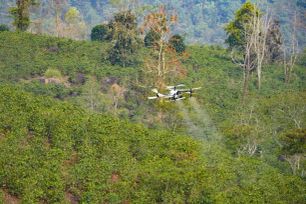 Thử nghiệm dùng UAV phun phân bón cà phê