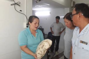 TPHCM lập đoàn kiểm tra cơ sở cung cấp suất ăn cho trường học