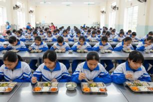 TPHCM kiểm tra 317 cơ sở cung cấp suất ăn trường học